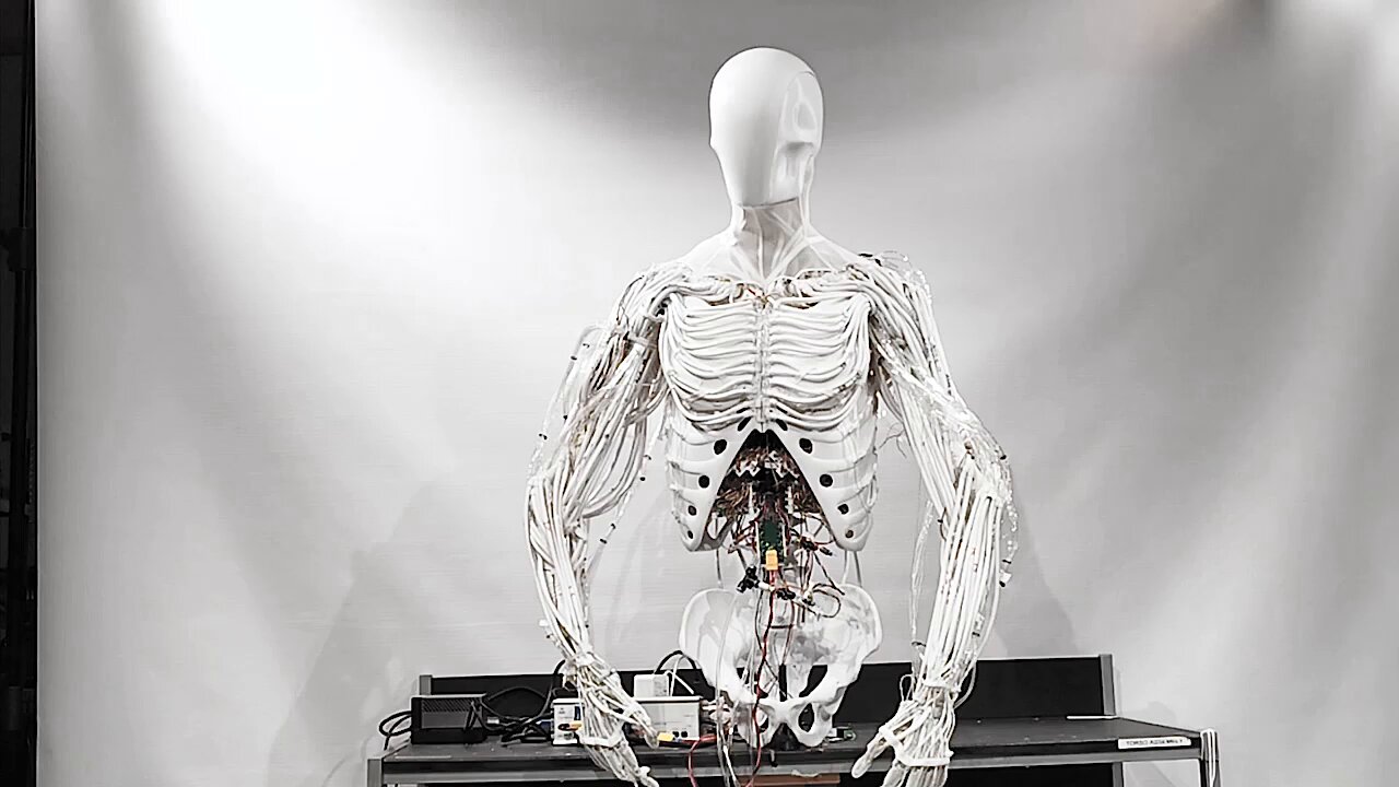 ASMO Armenia - Clone Robotics Unveils Humanoid Robot: Future Home Assistant