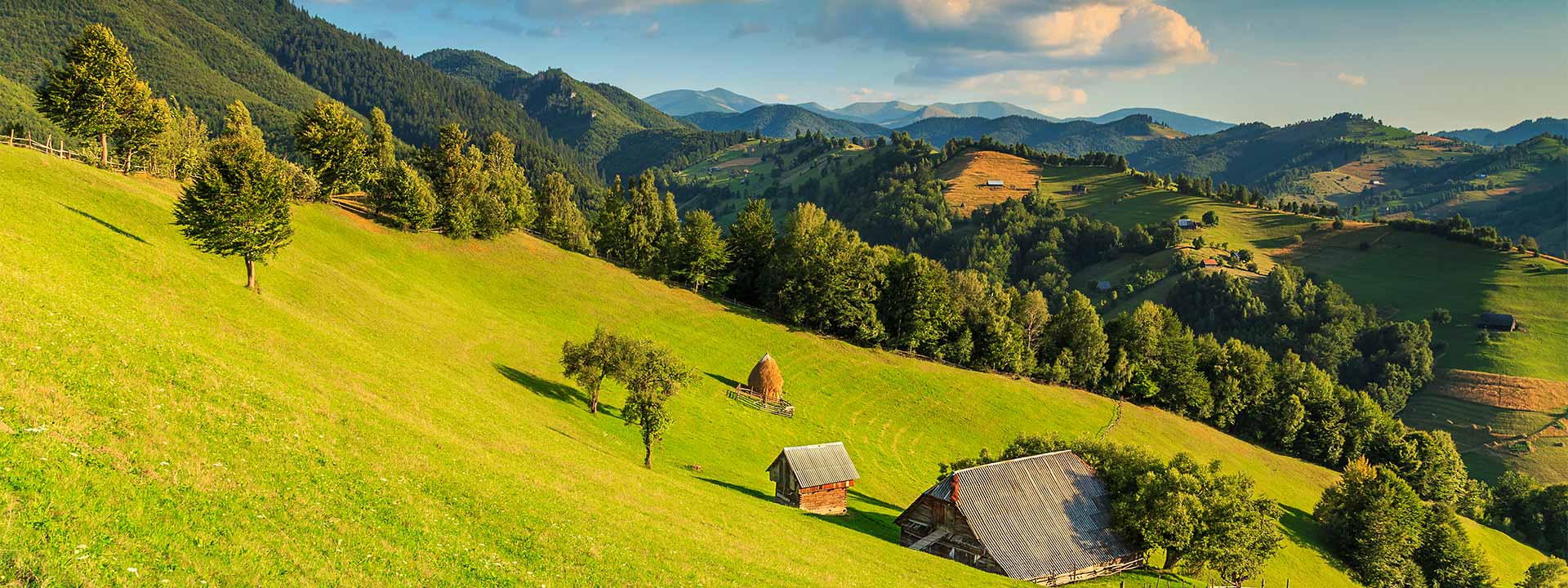 cargo delivery Armenia Romania6